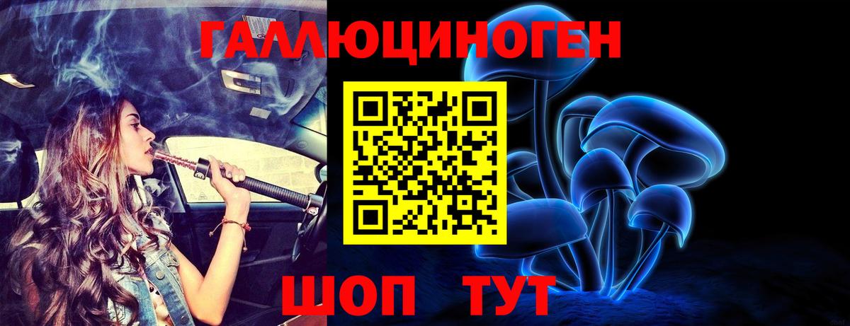 Псилоцибиновые грибы Cubensis Октябрьский
